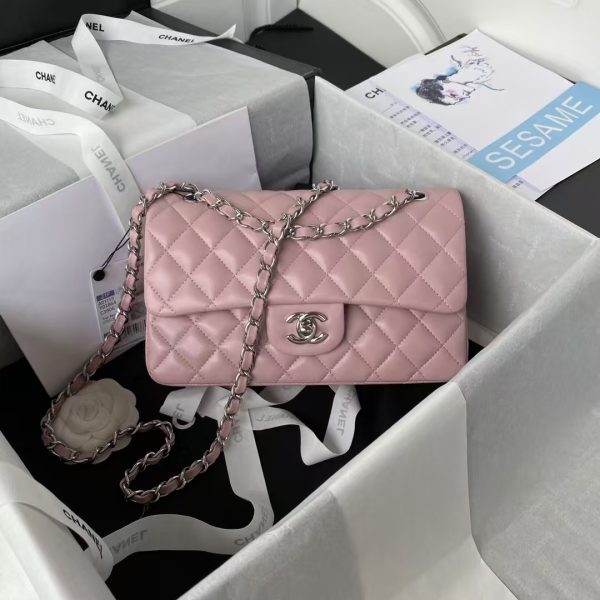 Chanel Small Classic Handbag Silver Hardware