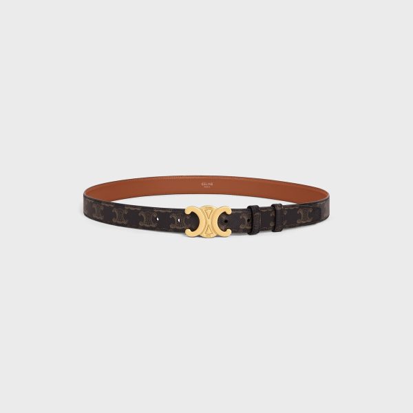 Medium Triomphe Belt in Triomphe Canvas