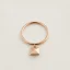 hermes-clou-d-h-ring-small-model-223601B_00-worn-1-0-0-900-900_g.webp