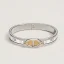 mini-clic-chaine-d-ancre-funny-ice-creamE6898BE995AF-204411FPJ2-front-wm-1-0-0-800-800_g.webp